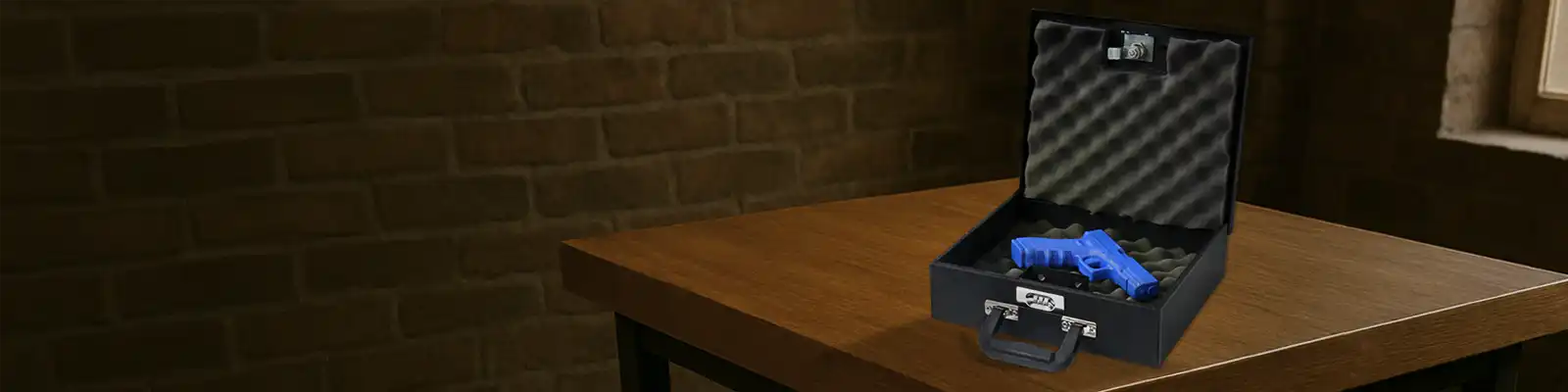 hangun storage cases